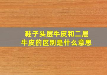 鞋子头层牛皮和二层牛皮的区别是什么意思