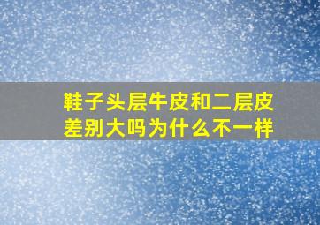 鞋子头层牛皮和二层皮差别大吗为什么不一样