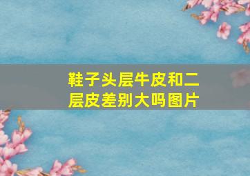 鞋子头层牛皮和二层皮差别大吗图片