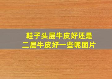 鞋子头层牛皮好还是二层牛皮好一些呢图片