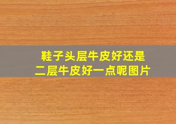 鞋子头层牛皮好还是二层牛皮好一点呢图片