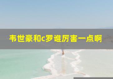 韦世豪和c罗谁厉害一点啊