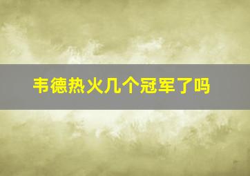 韦德热火几个冠军了吗