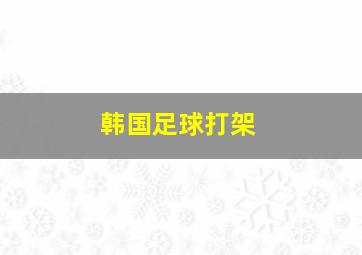 韩国足球打架