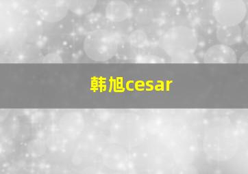 韩旭cesar