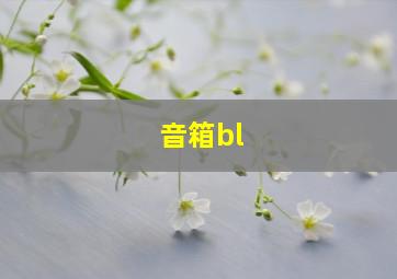 音箱bl