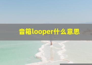 音箱looper什么意思