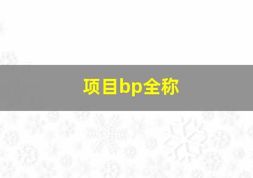 项目bp全称