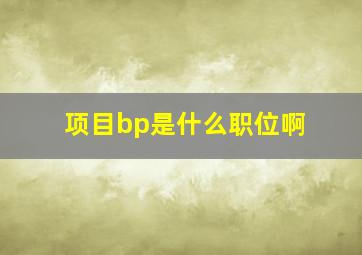 项目bp是什么职位啊