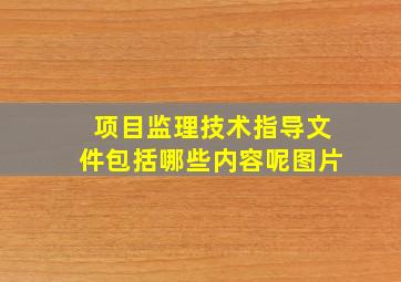 项目监理技术指导文件包括哪些内容呢图片