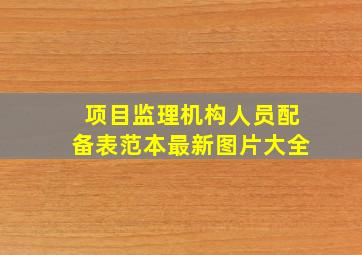 项目监理机构人员配备表范本最新图片大全