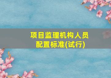 项目监理机构人员配置标准(试行)