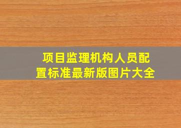 项目监理机构人员配置标准最新版图片大全