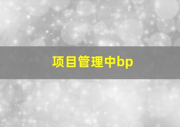 项目管理中bp