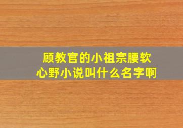 顾教官的小祖宗腰软心野小说叫什么名字啊