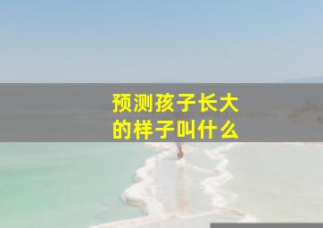 预测孩子长大的样子叫什么