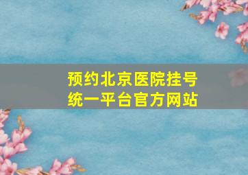 预约北京医院挂号统一平台官方网站