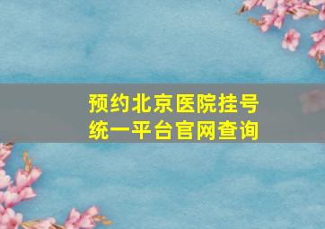 预约北京医院挂号统一平台官网查询