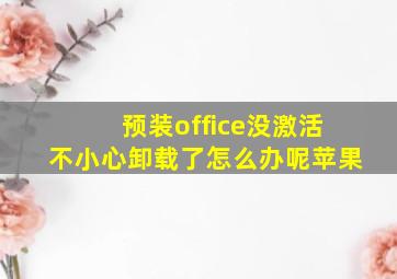 预装office没激活不小心卸载了怎么办呢苹果