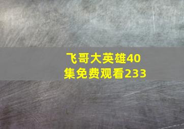 飞哥大英雄40集免费观看233