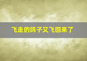 飞走的鸽子又飞回来了