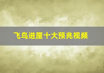 飞鸟进屋十大预兆视频