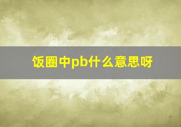 饭圈中pb什么意思呀