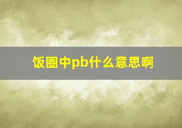 饭圈中pb什么意思啊