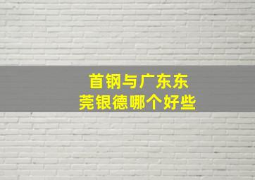 首钢与广东东莞银德哪个好些