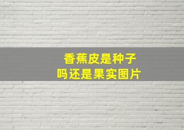 香蕉皮是种子吗还是果实图片