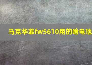 马克华菲fw5610用的啥电池