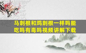 马刺根和鸡刺根一样吗能吃吗有毒吗视频讲解下载