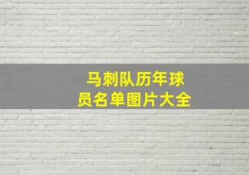 马刺队历年球员名单图片大全