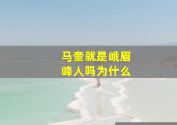 马奎就是峨眉峰人吗为什么