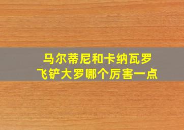 马尔蒂尼和卡纳瓦罗飞铲大罗哪个厉害一点