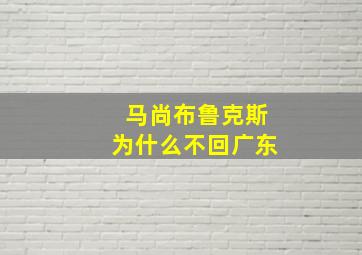 马尚布鲁克斯为什么不回广东