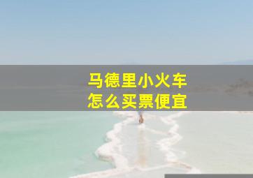 马德里小火车怎么买票便宜