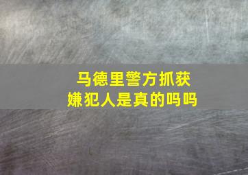 马德里警方抓获嫌犯人是真的吗吗