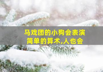 马戏团的小狗会表演简单的算术,人也会