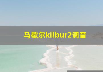 马歇尔kilbur2调音