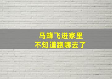 马蜂飞进家里不知道跑哪去了