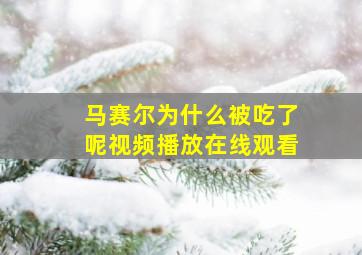 马赛尔为什么被吃了呢视频播放在线观看