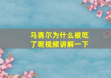 马赛尔为什么被吃了呢视频讲解一下