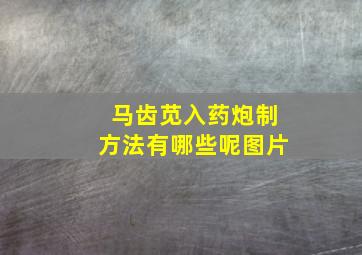 马齿苋入药炮制方法有哪些呢图片