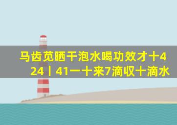 马齿苋晒干泡水喝功效才十424丨41一十来7滴収十滴水