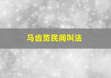 马齿苋民间叫法