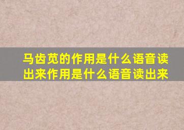 马齿苋的作用是什么语音读出来作用是什么语音读出来