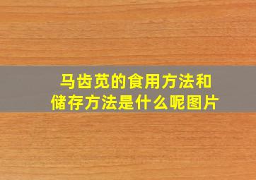 马齿苋的食用方法和储存方法是什么呢图片