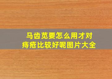 马齿苋要怎么用才对痔疮比较好呢图片大全