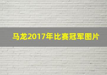 马龙2017年比赛冠军图片